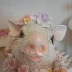 Blomst Gris Kop