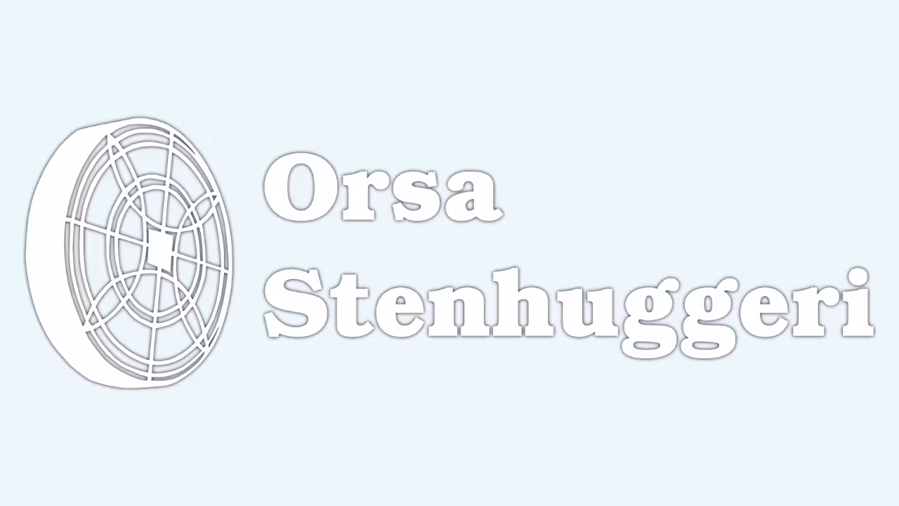 ORSA STENHUGGERI - Helt logiskt