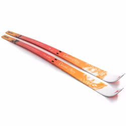 Åsnes Cecilie WL/FL