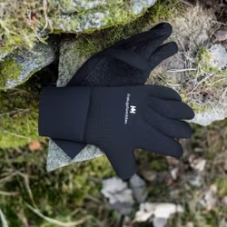 Mästarn Frelugahandsken