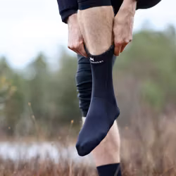 Mästarn Frelugasockan Standard