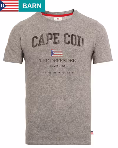 Alvin t-shirt gråmelerad