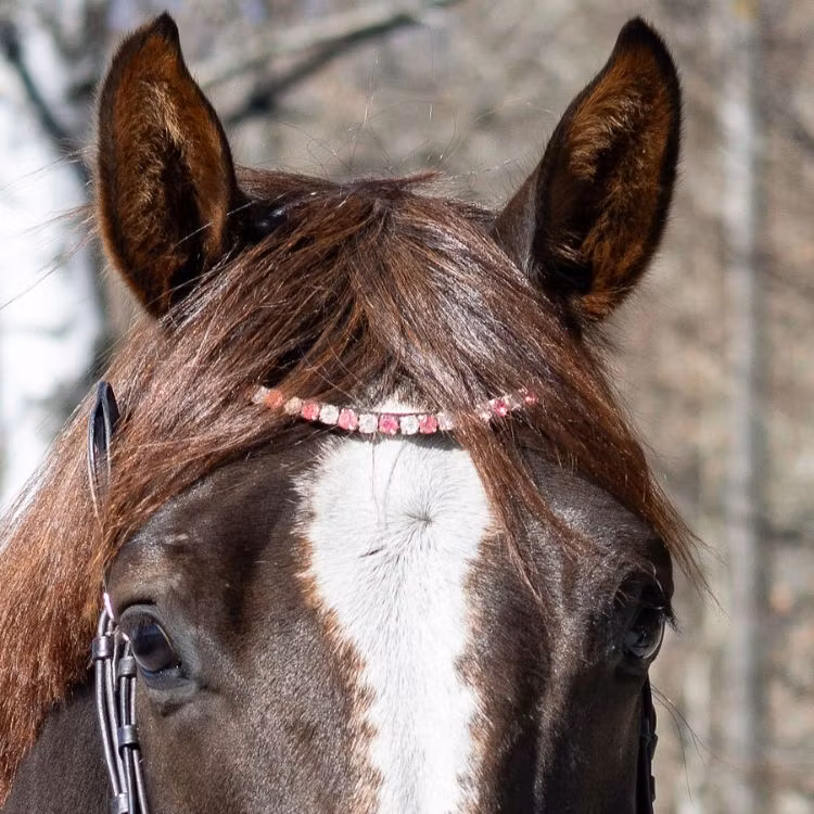 Brunt pannband rosa vit strass