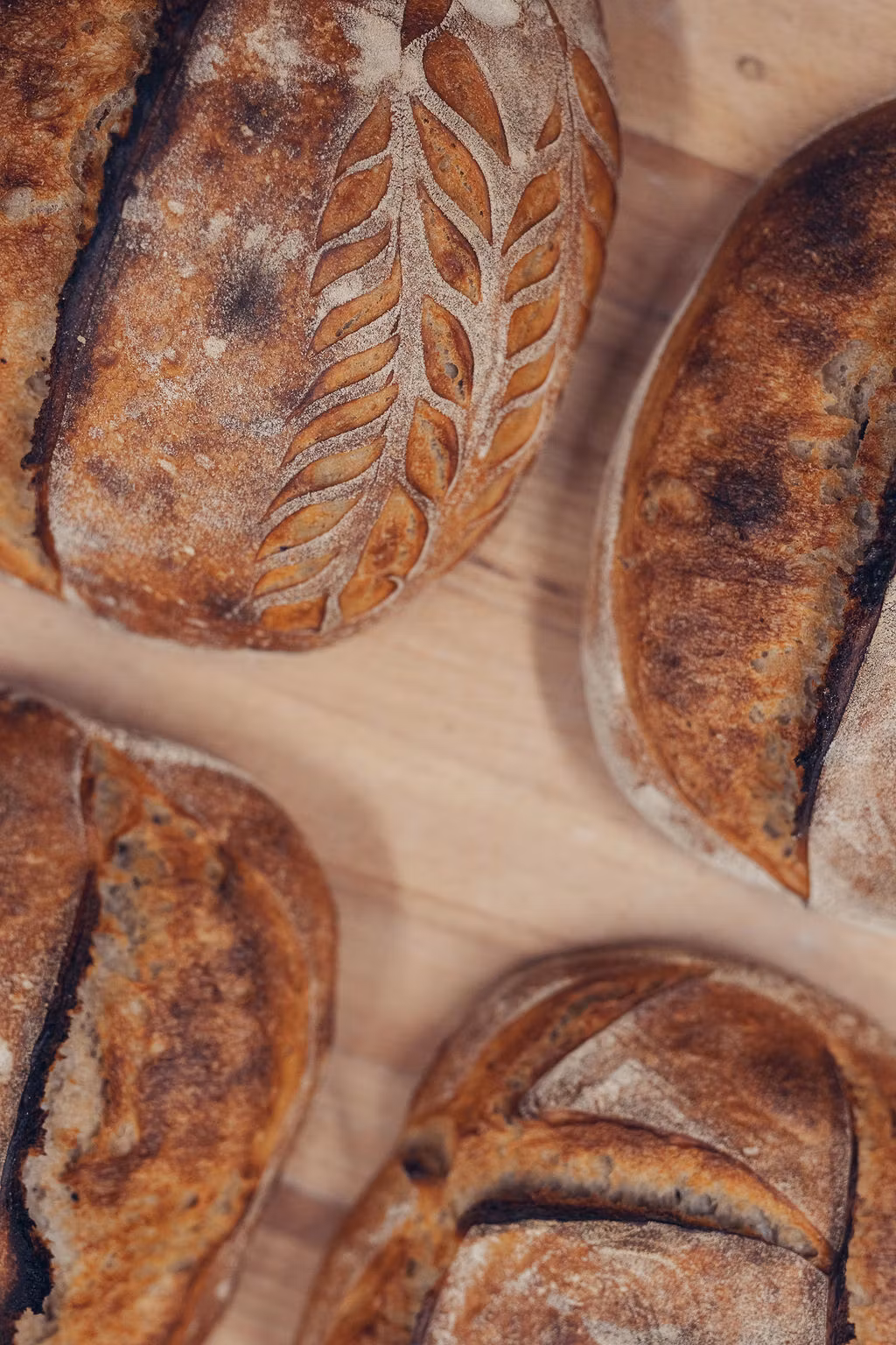 Surdegskurs 8-9 november 2025