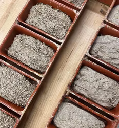 Daladanskt rågbröd