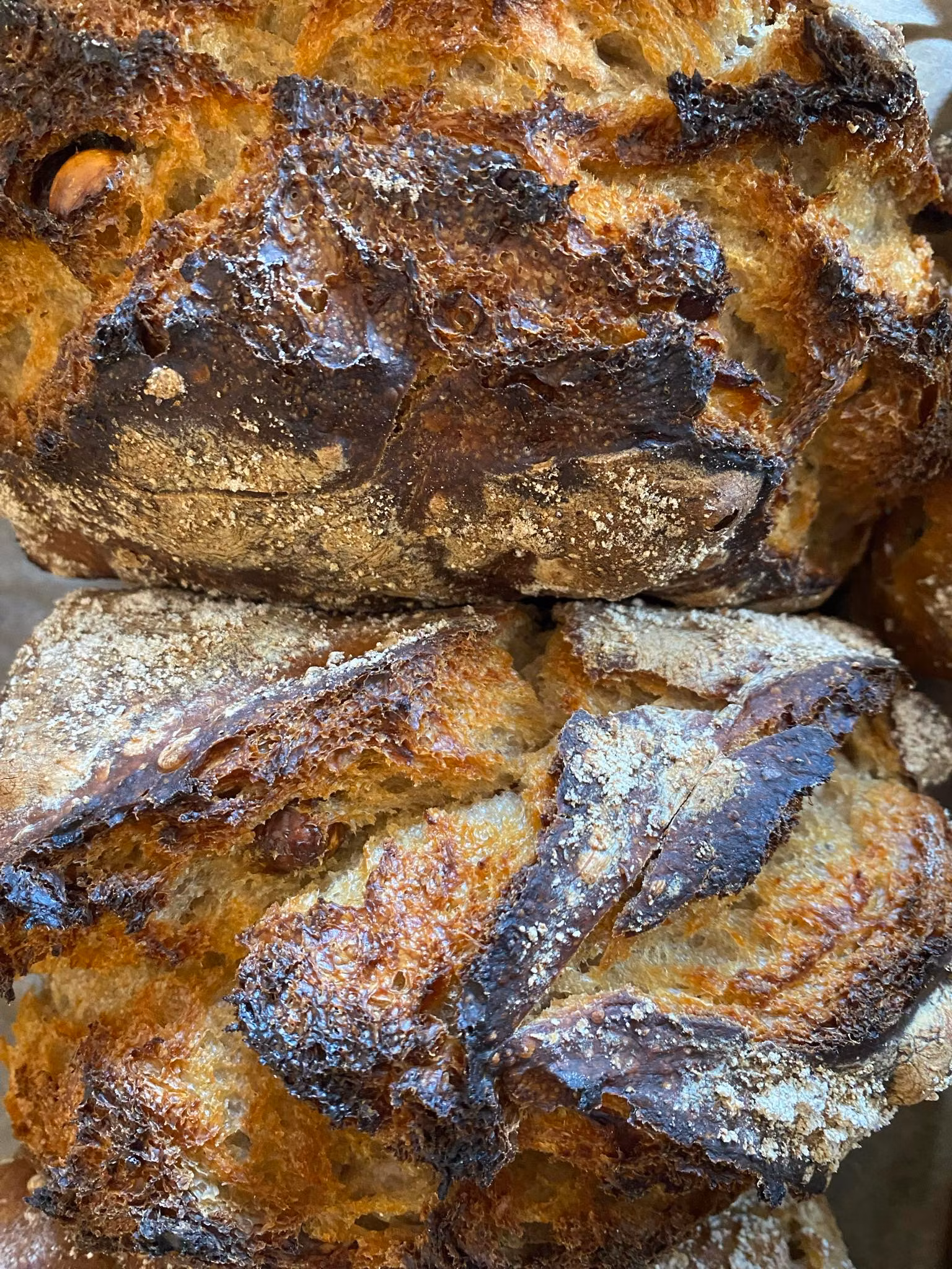 Äpple/hasselnöt