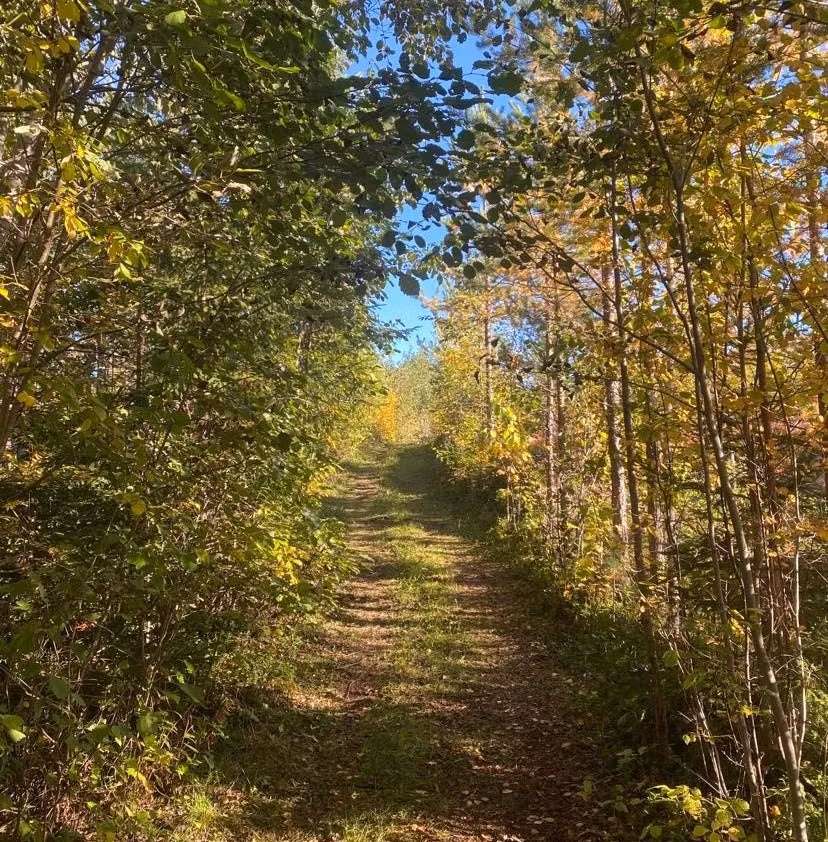 Löparfrukost 7 km - Torsdag 30 okt