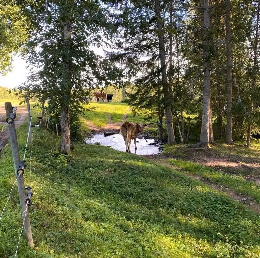 Välkomna till oss i sommarcta image