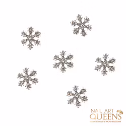 Snowflake silver