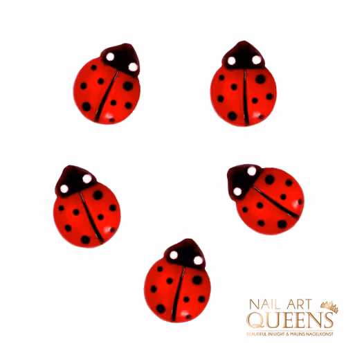 Ladybug