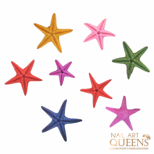 Starfish 4PCS
