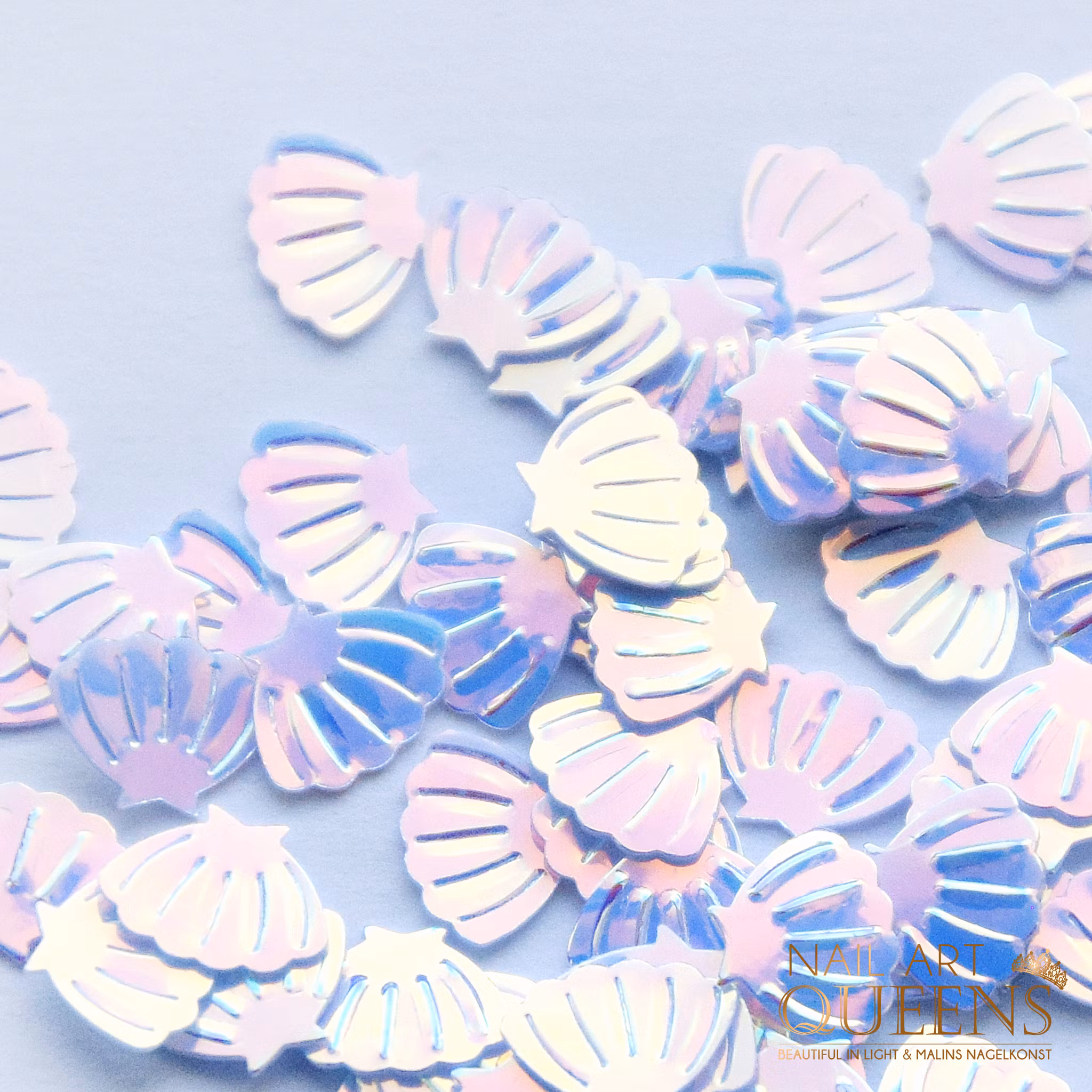 Seashells