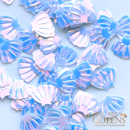 Seashells