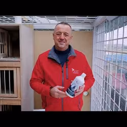 VITAMINO PLUS 500 ML