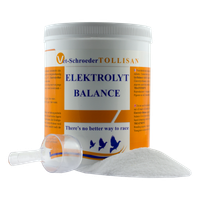 Electrolyte balance