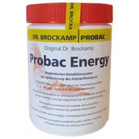 Probac Energy 500g