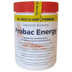 Probac Energy 500g