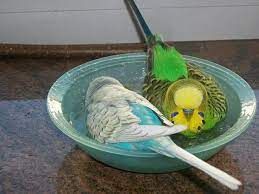 Bath salts V