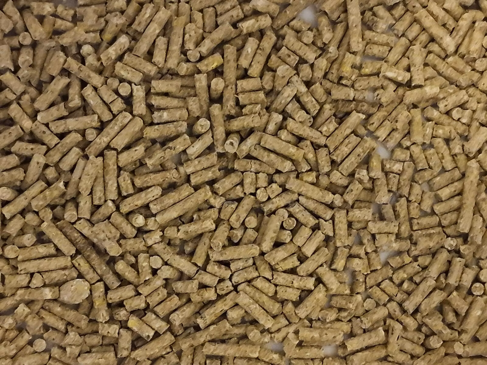 NATURAL HÖNSFODER - KONCENTRAT 15 KG