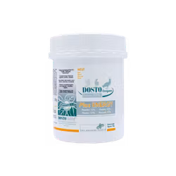 Dosto Oregano Powder 12% + Plus ENERGY