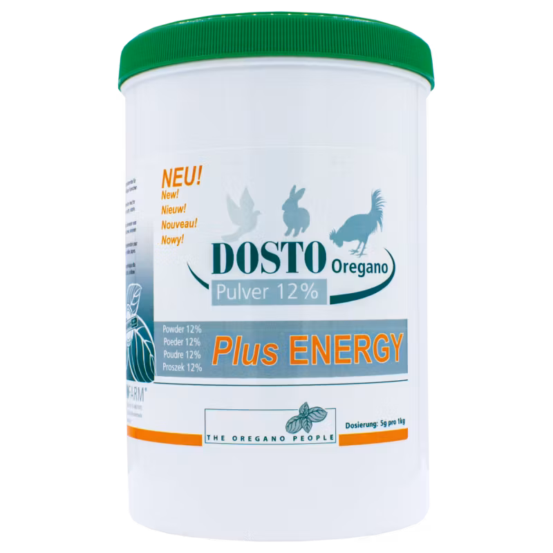 Dosto Oregano Powder 12% + Plus ENERGY -500g