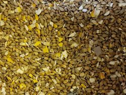 Natural Höns mix 15kg (60) Hel pall (Fraktfri)