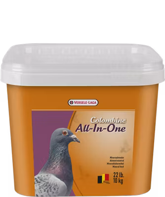 All-In-One 10 kg