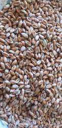 NATURAL VETE 15kg