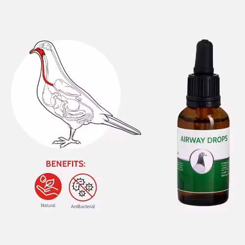 AIRWAY DROPS 30ml