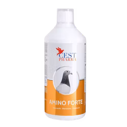 AMINO FORTE 1000ml