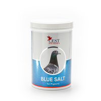 Badsalt BLUE SALT 1000g  ( bäst i test  )