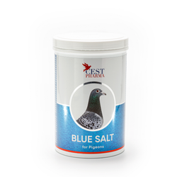 Badsalt BLUE SALT 1000g  ( bäst i test  )