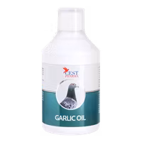 VITLÖKSOLJA 500ml
