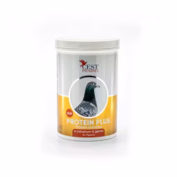 PROTEIN PLUS 600g