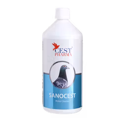 SANOCEST 1000ml  (ekologiskt desinfektionsmedel)