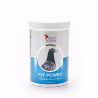 FLY POWER 600G
