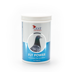 FLY POWER 600G