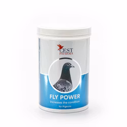 FLY POWER 600G