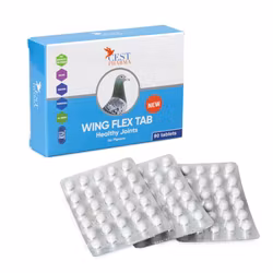 WING FLEX