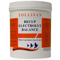 Recup Electrolyt Balance