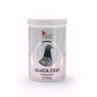 GLUCA CEST 600g