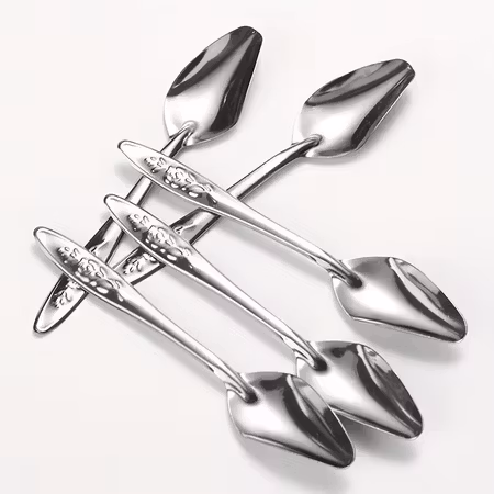 5-pack Matningsskedar i Rostfritt Stål för papegojan