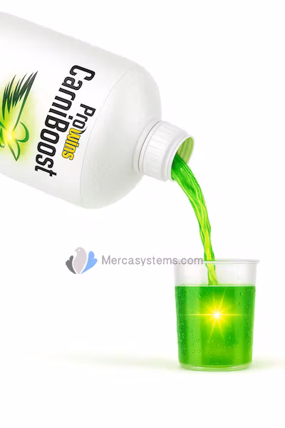 Prowins CarniBoost Plus (Berikat karnitin för musklerna)