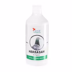 HERBASAN 1000 ml