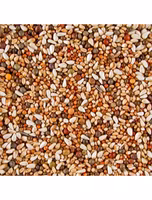 DoviX Short Beak 20 kg