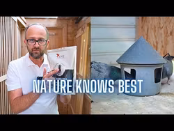 PIGEON’S TEA 300 g