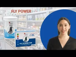FLY POWER TAB