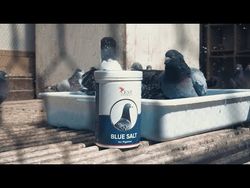 Badsalt BLUE SALT 1000g  ( bäst i test  )