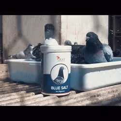 Badsalt BLUE SALT 1000g  ( bäst i test  )