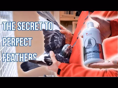 Platinum Moult 1000 ml